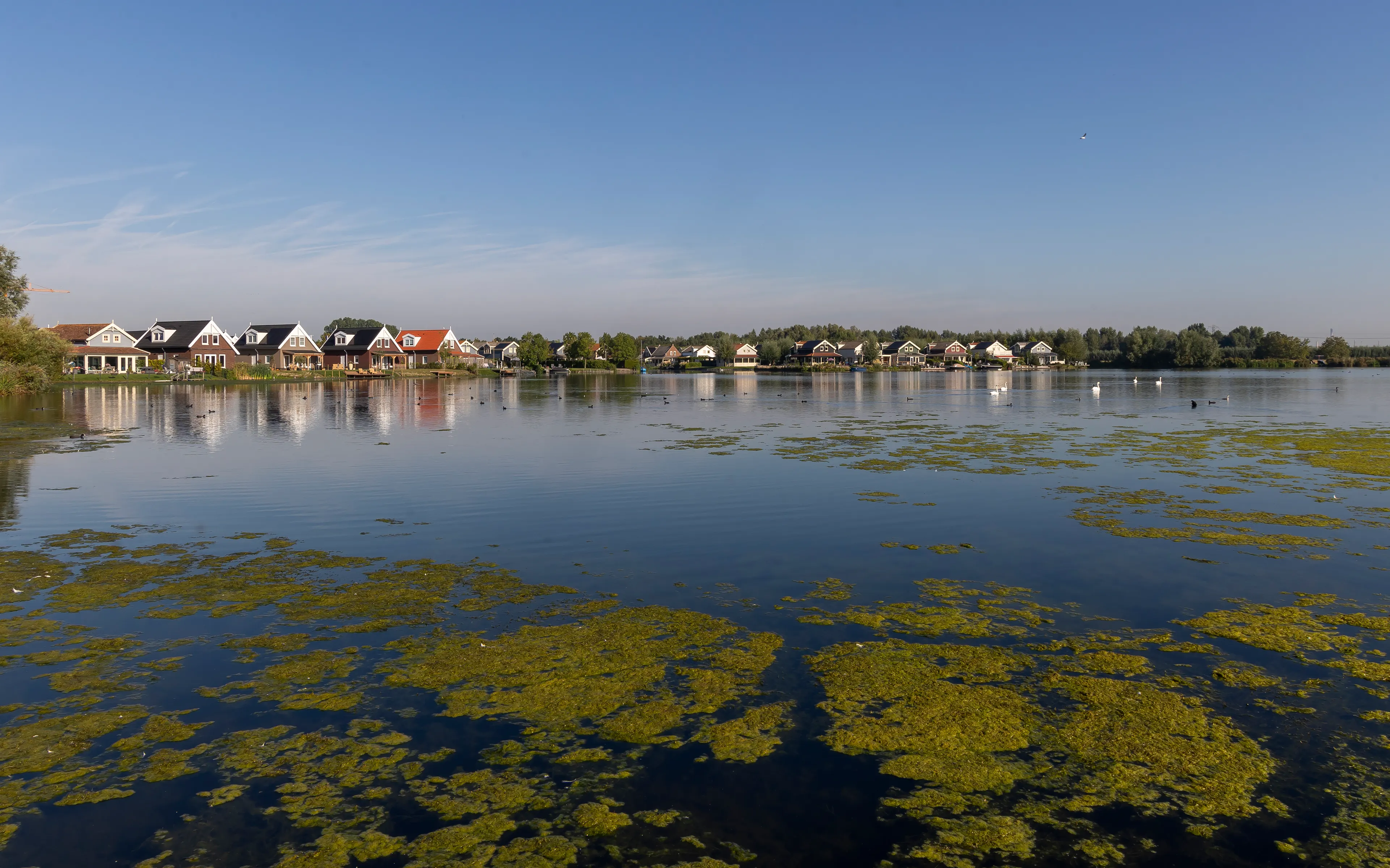 Zuytland 1282